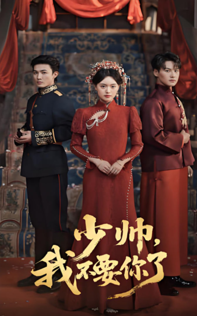 少帅我不要你了