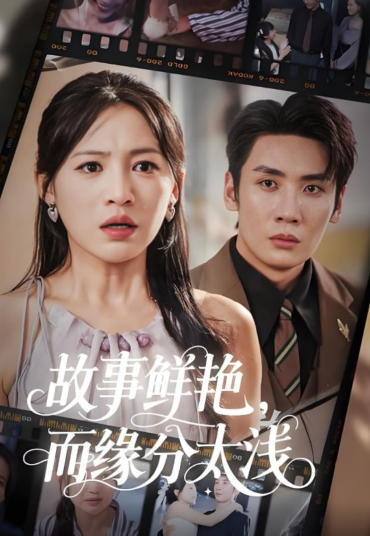 故事鲜艳而缘分太浅