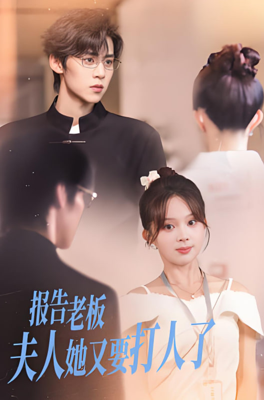 报告老板夫人她又要打人了